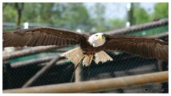 Leśny Park Niespodzianek w Ustroniu